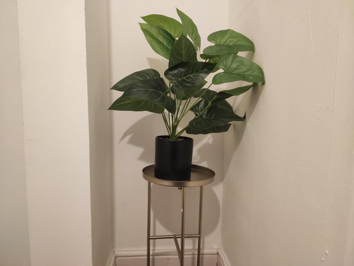 Whitchurch 1 Bedroom Apartment Cardiff Buitenkant foto